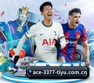 3377体育投注 APP 界面