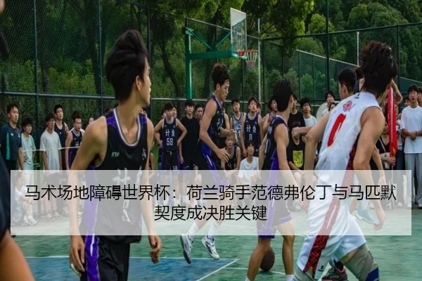 马术场地障碍世界杯：荷兰骑手范德弗伦丁与马匹默契度成决胜关键