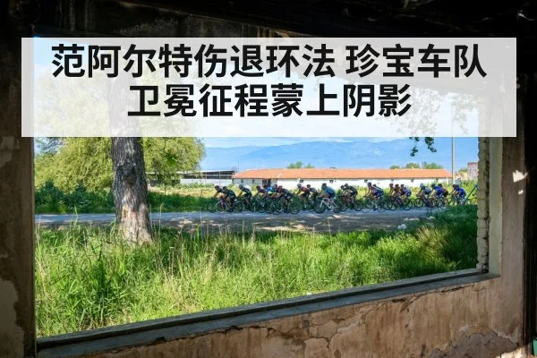 范阿尔特伤退环法 珍宝车队卫冕征程蒙上阴影