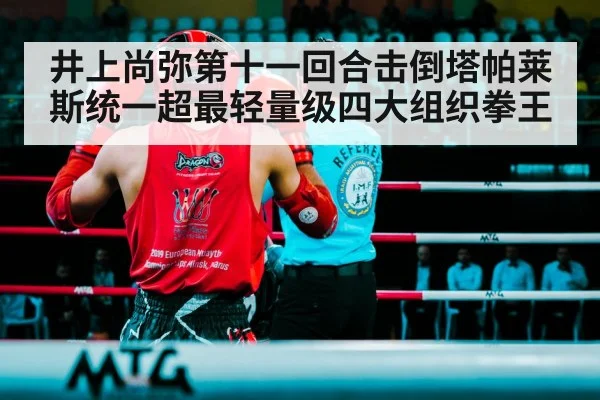井上尚弥第十一回合击倒塔帕莱斯统一超最轻量级四大组织拳王