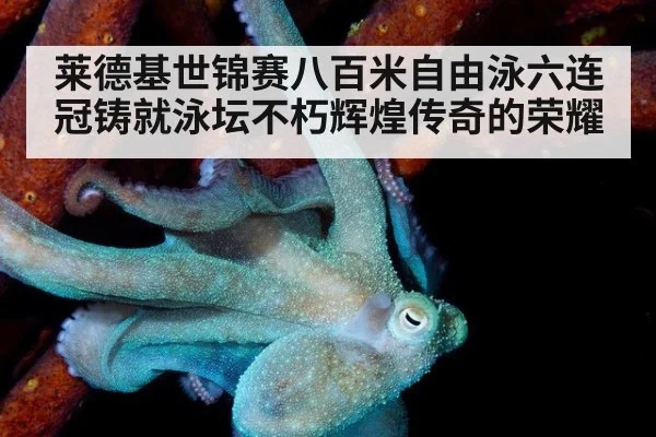 莱德基世锦赛八百米自由泳六连冠铸就泳坛不朽辉煌传奇的荣耀